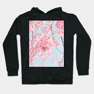 Flowers print, Pastel, Fashion print, Scandinavian art, Modern art, Wall art, Print, Minimalistic, Modern Hoodie